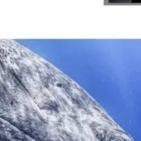 右近倫太郎がPX3で受賞