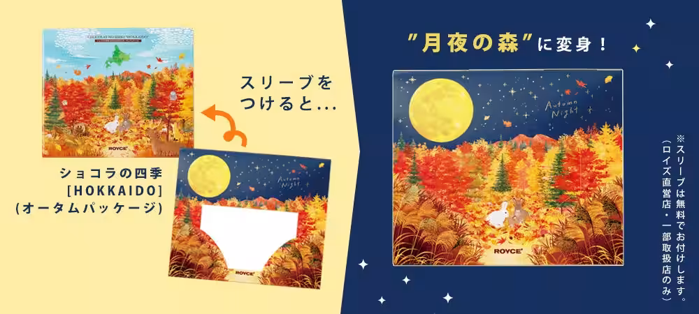 画像11