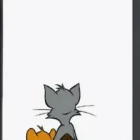 トムとジェリーケース新登場