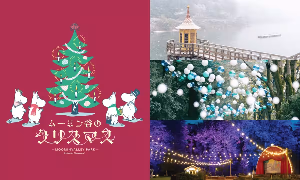 画像9
