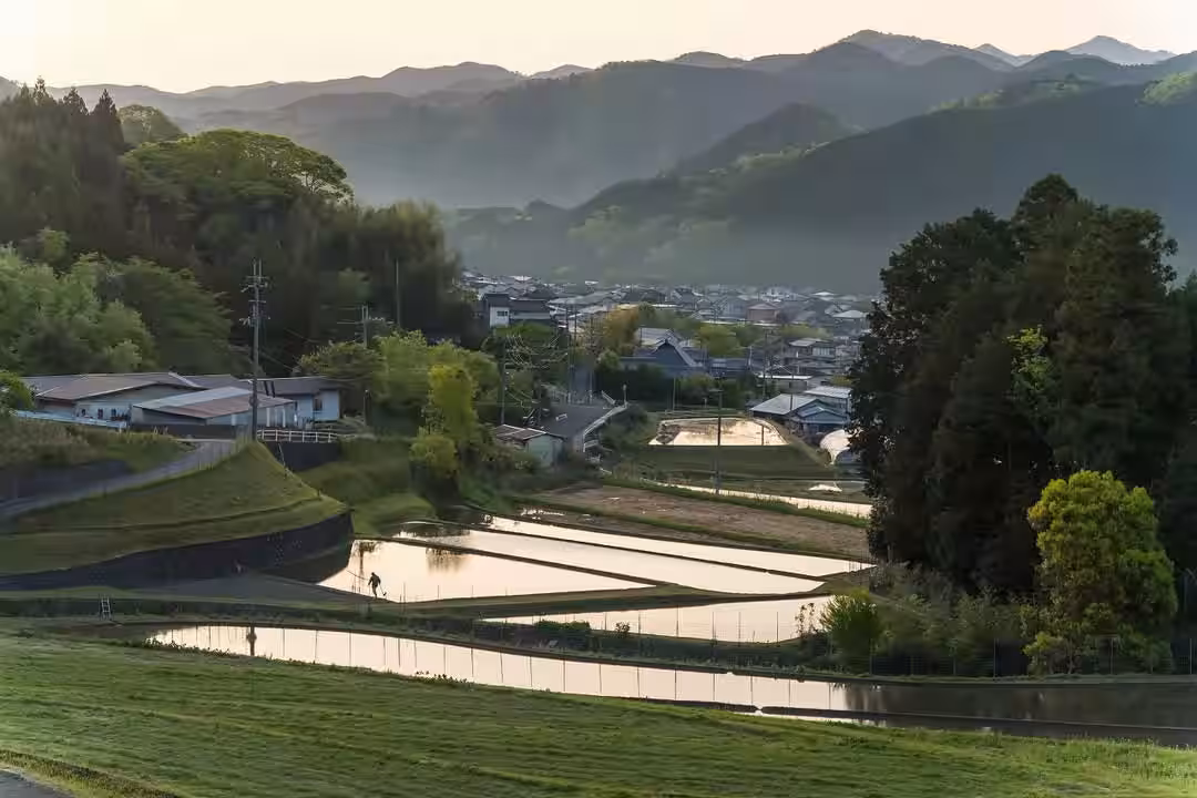 画像9