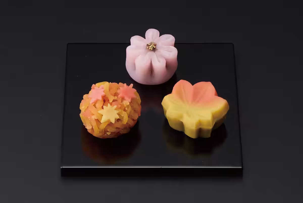 画像8