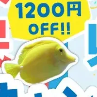 シーパラ感謝祭