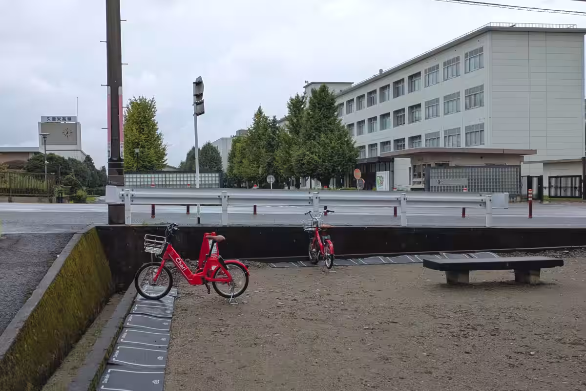 画像5