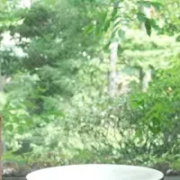 ウーマンズ パビリオン