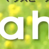 矯正中の新習慣