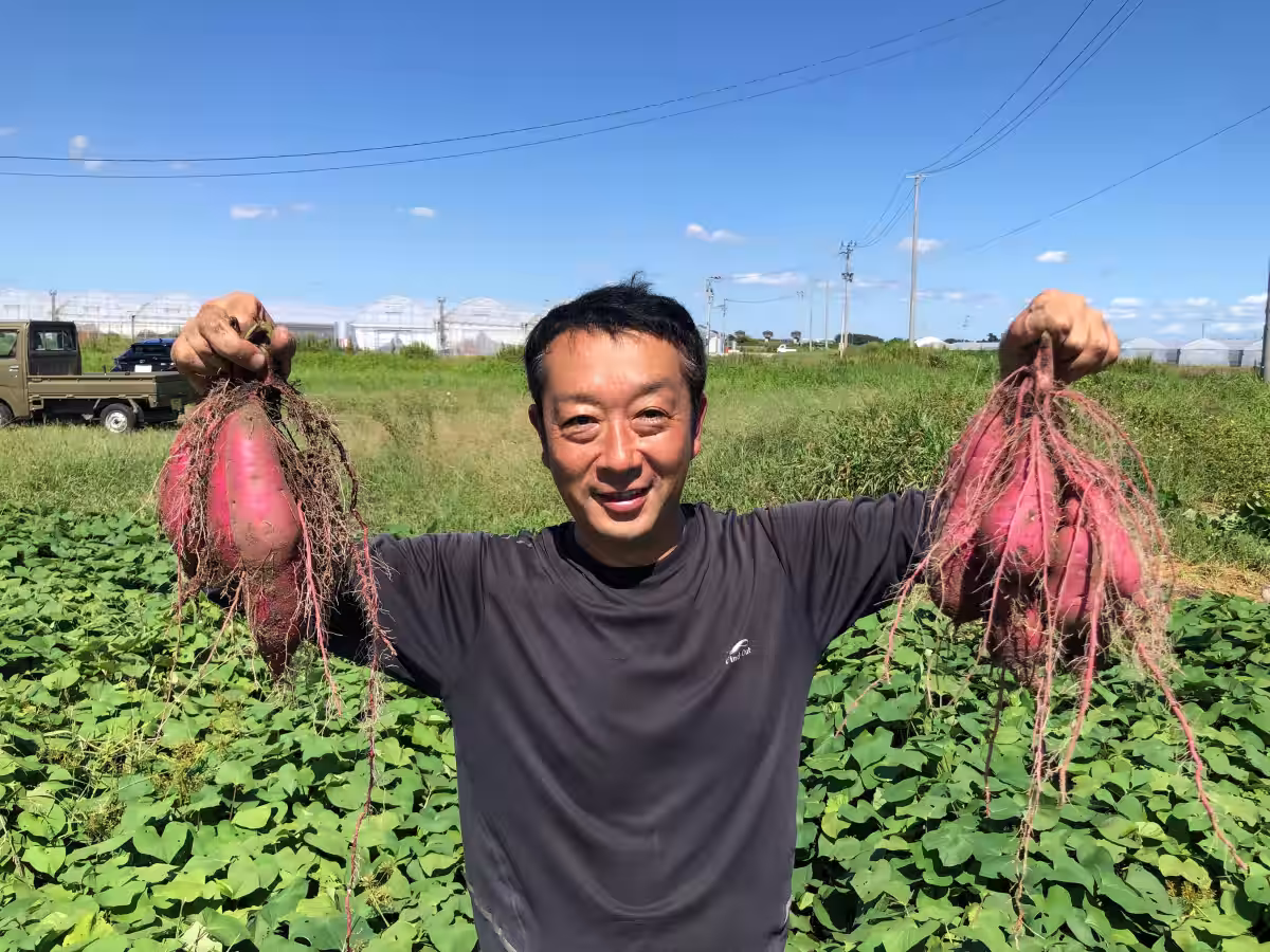 画像6
