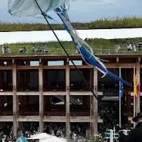 クラゲ館の魅力