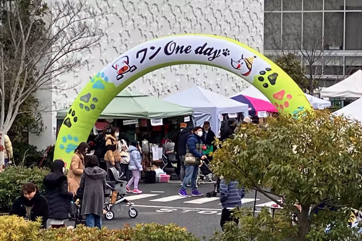画像12