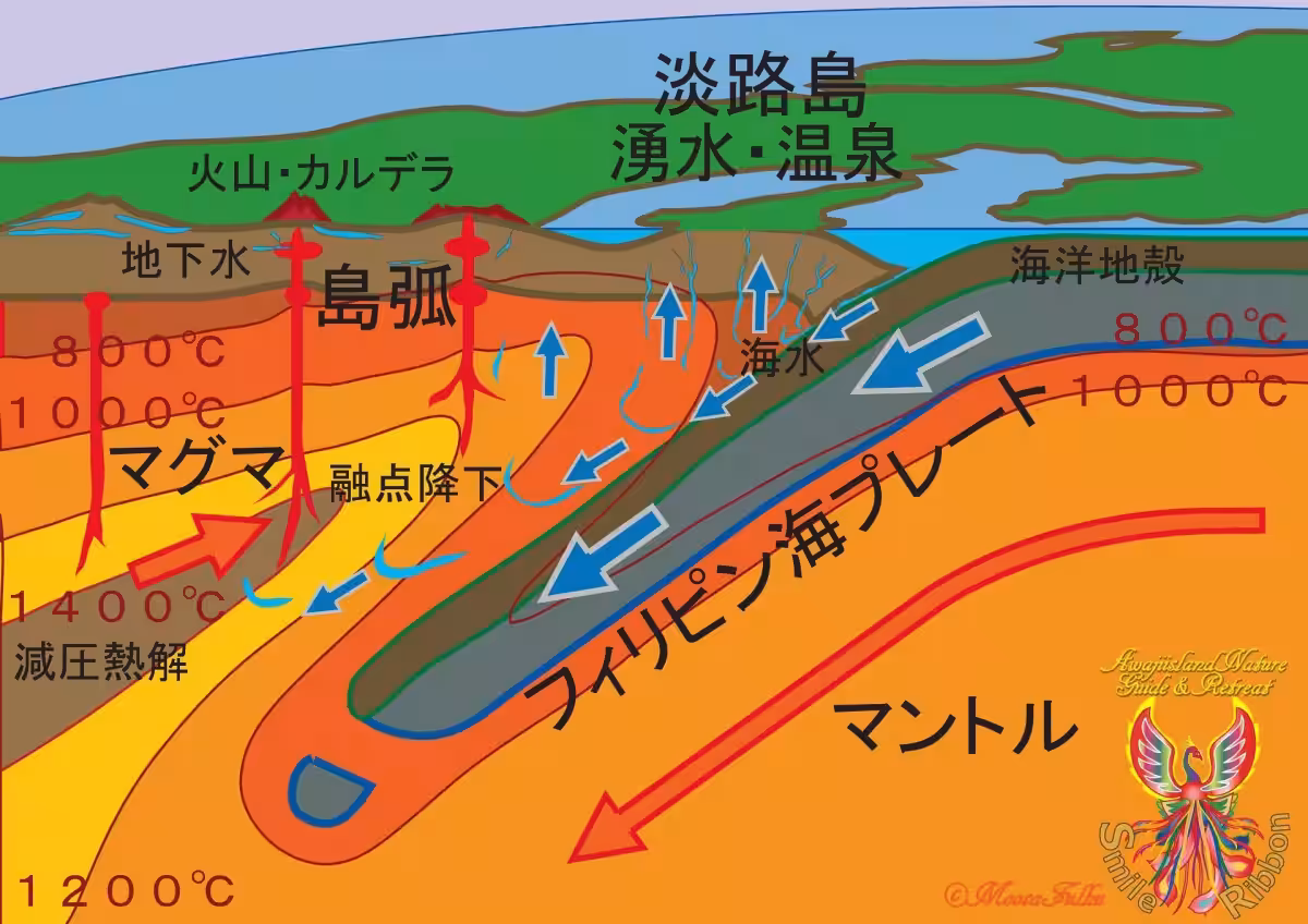 画像11