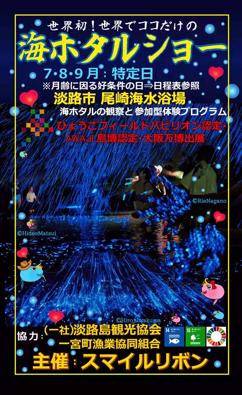 画像14