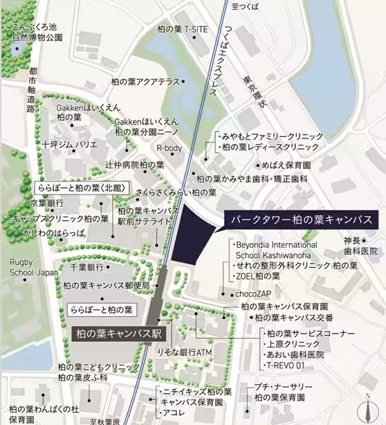 画像8