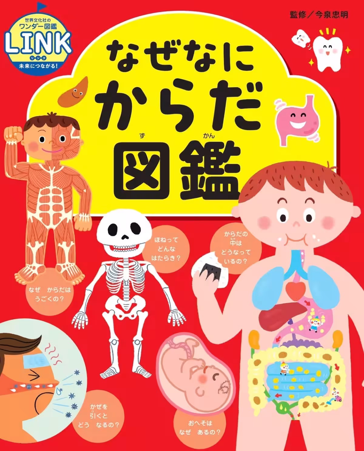 画像5