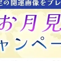 秋の運勢占い