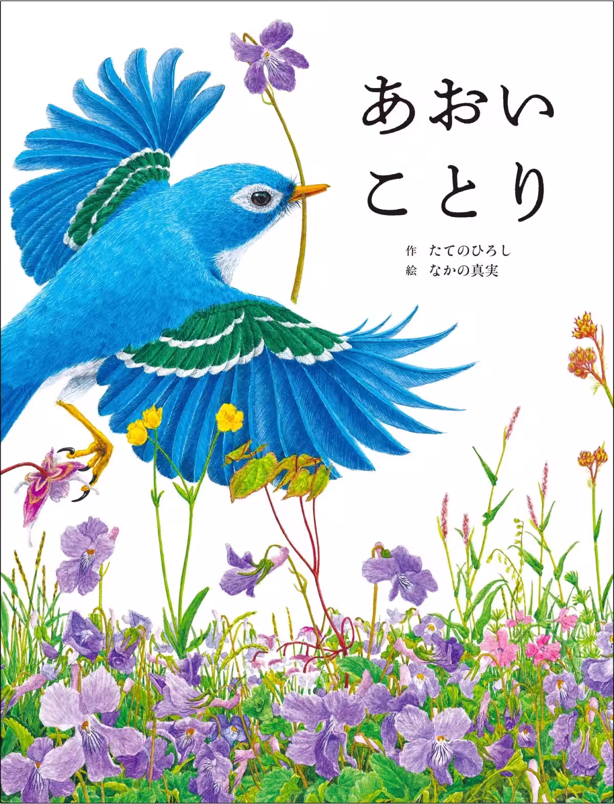 画像6