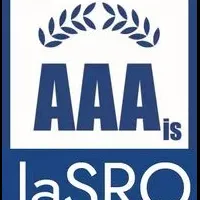 15年連続AAAis達成