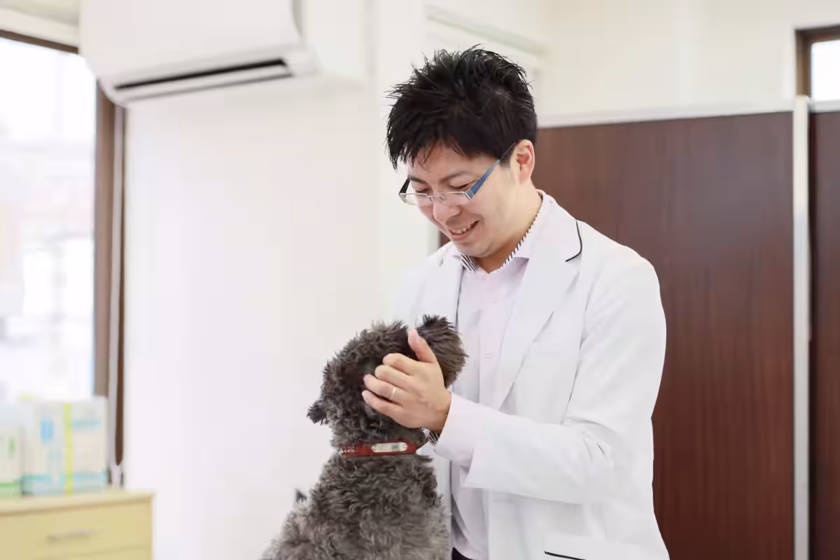 画像4