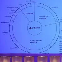 オーソモルのクリスマス