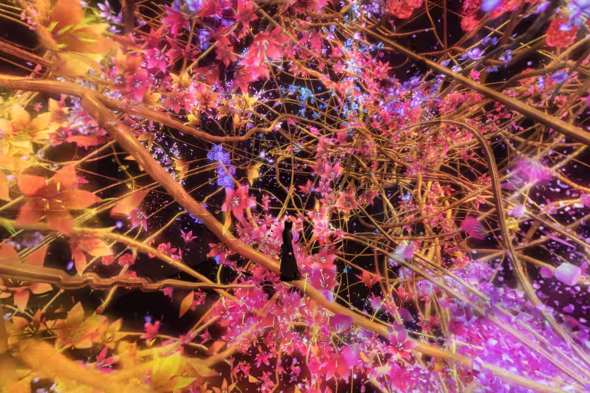 画像11