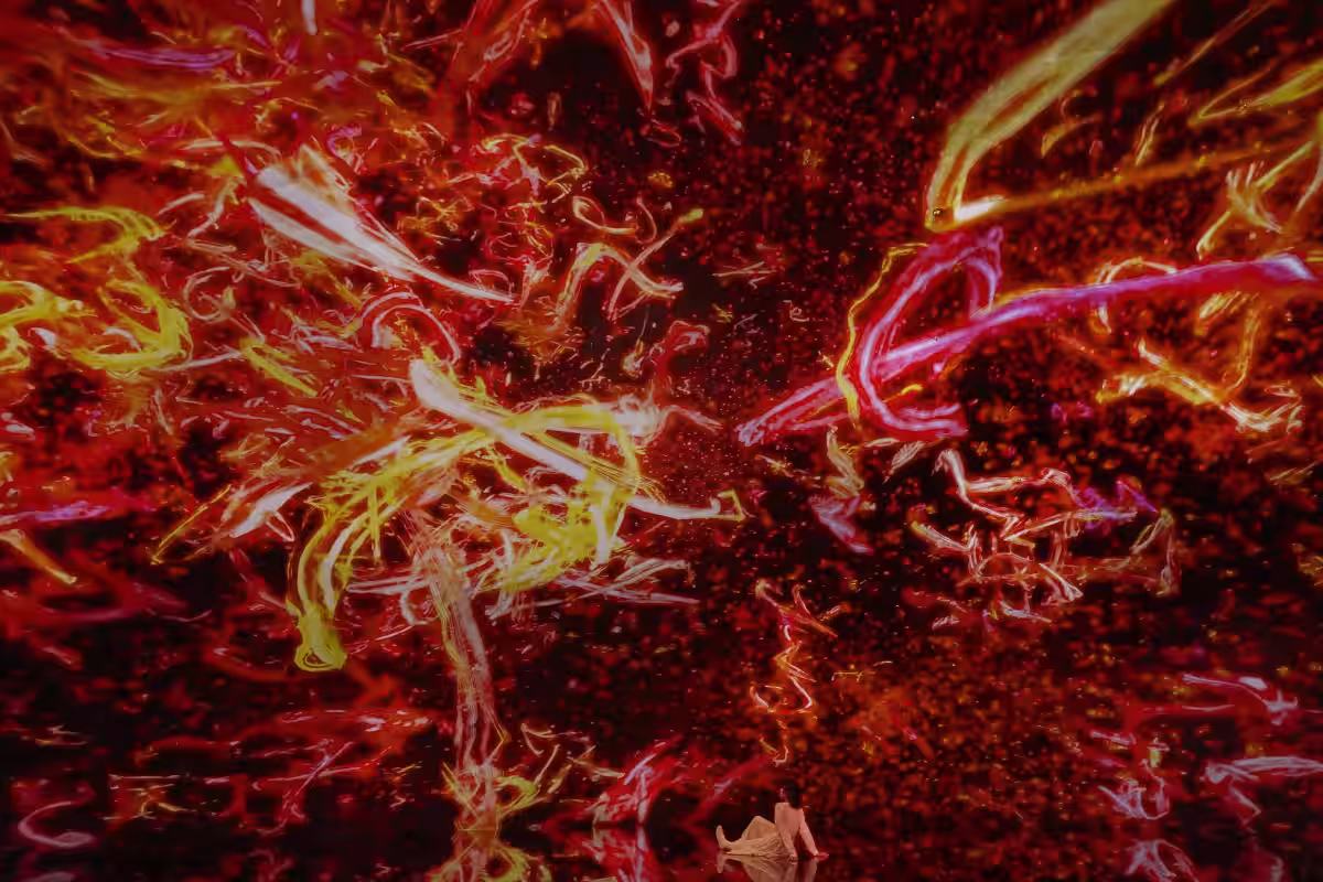 画像15