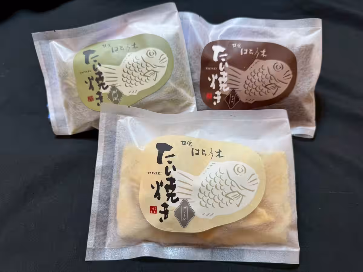 画像6