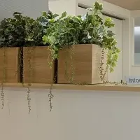 METS新プラン登場