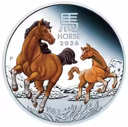 画像18