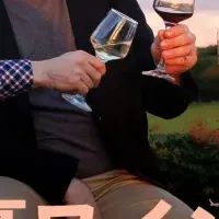 ディスカバー豪ワイン