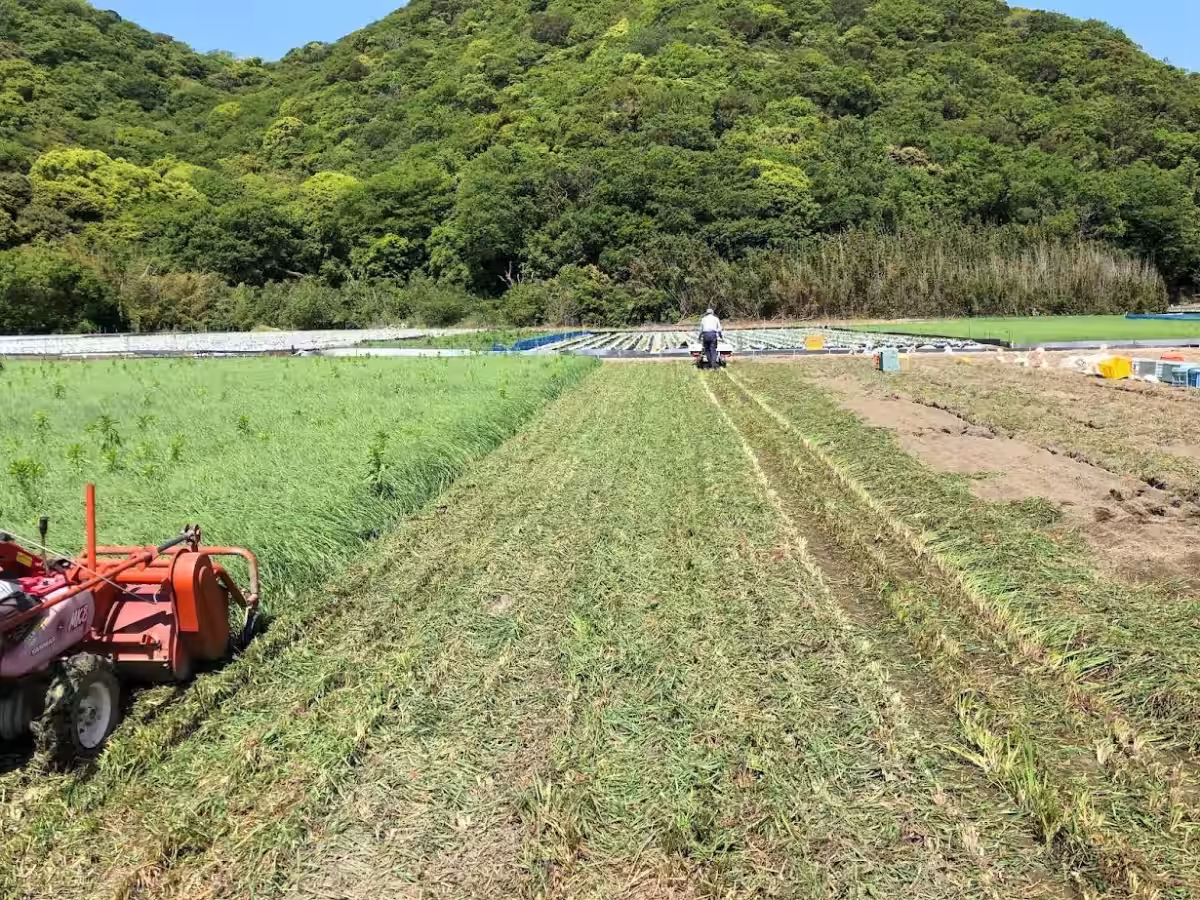 画像18