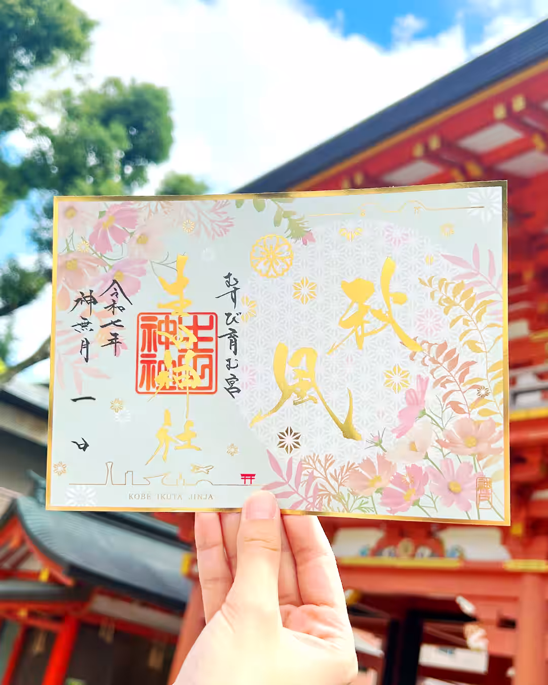 画像4