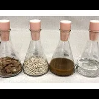 住友林業と森空プロジェクト