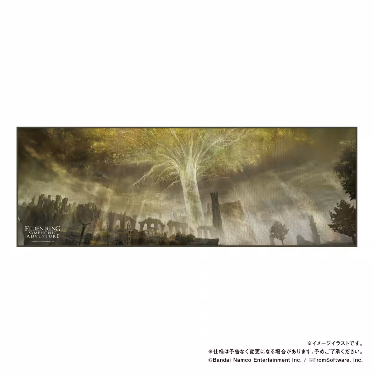 画像14
