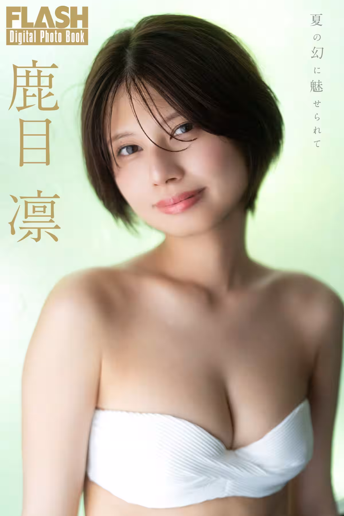 画像8