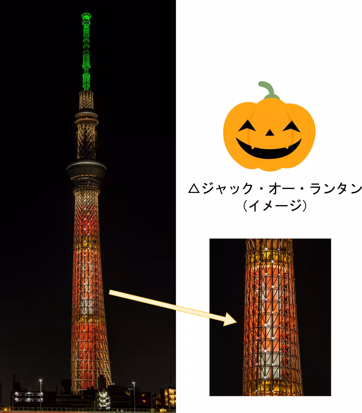 画像12