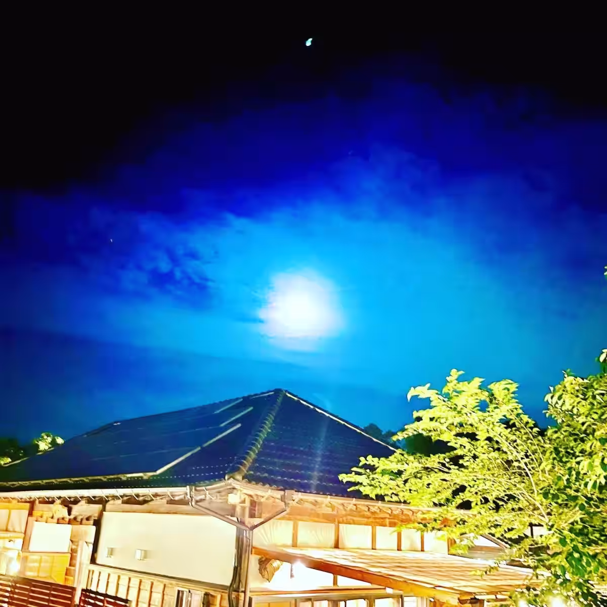 画像9