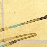 ロルフベンツが東京で特別展