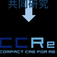 CCReB AIの新研究
