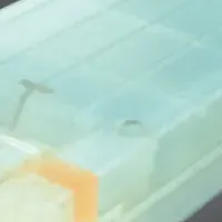 SPEカメラの革新