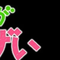 新作アニメ配信！