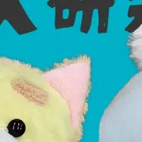 理論と実践を学ぶ