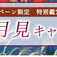 大串ノリコの特別鑑定