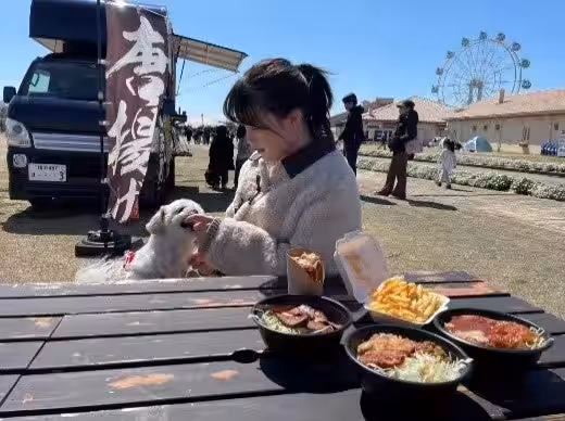 画像11