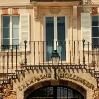 名門ブランドの提携