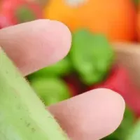 エシカル認証開始