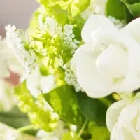 銀座の婚活事情