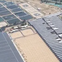 海南省のグリーン未来