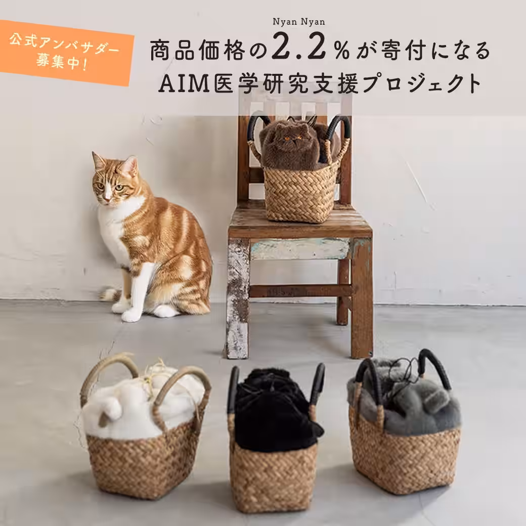 画像14