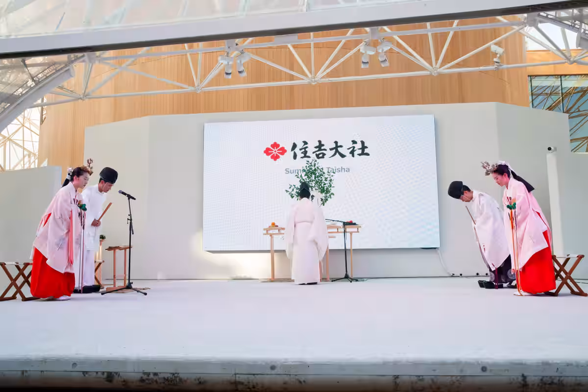 画像8