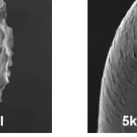 サロン品質の検証