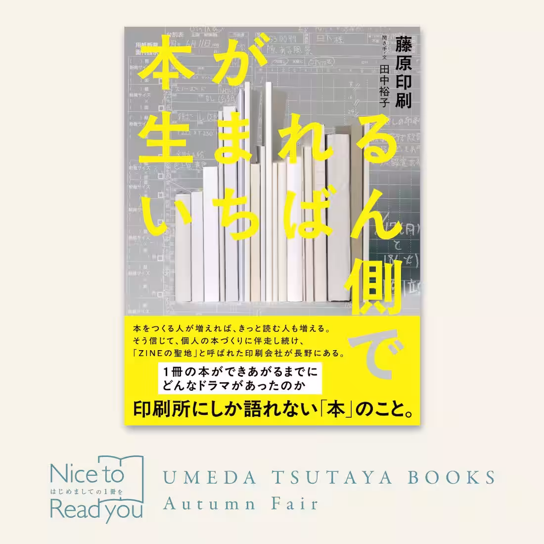 画像12